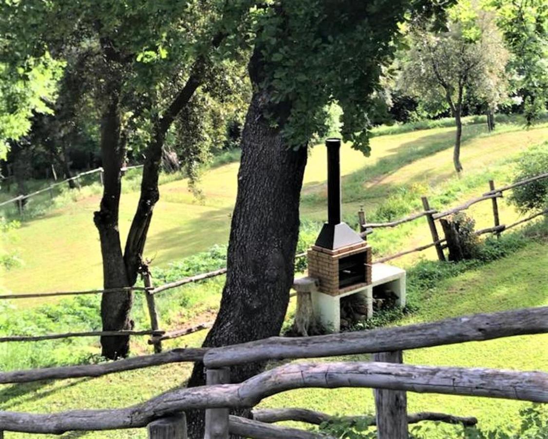 Stunning 4-Bed Cottage In Montseny Natural Park Arbúcies Dış mekan fotoğraf